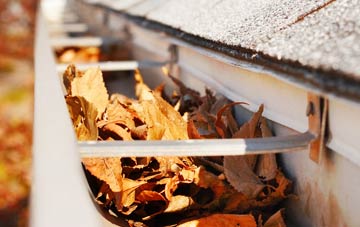 Threapwood gutter cleaning companies