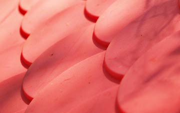 Threapwood plastic roof costs