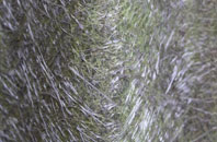 Threapwood fibreglass roof work