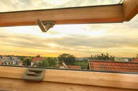 rated Threapwood roof window companies